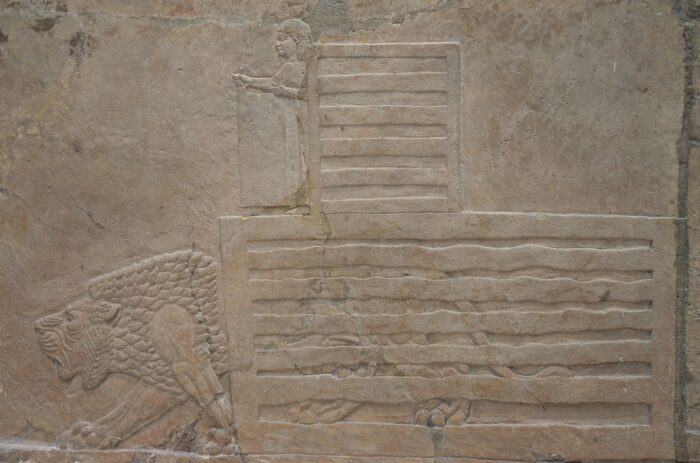 Relief of a young man releasing a captured lion from its cage during the Ashurbanipal royal hunt